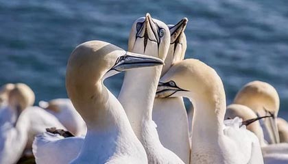 开云·体育全站登录地址-JDG选手多面手表现抢眼，jdg队员