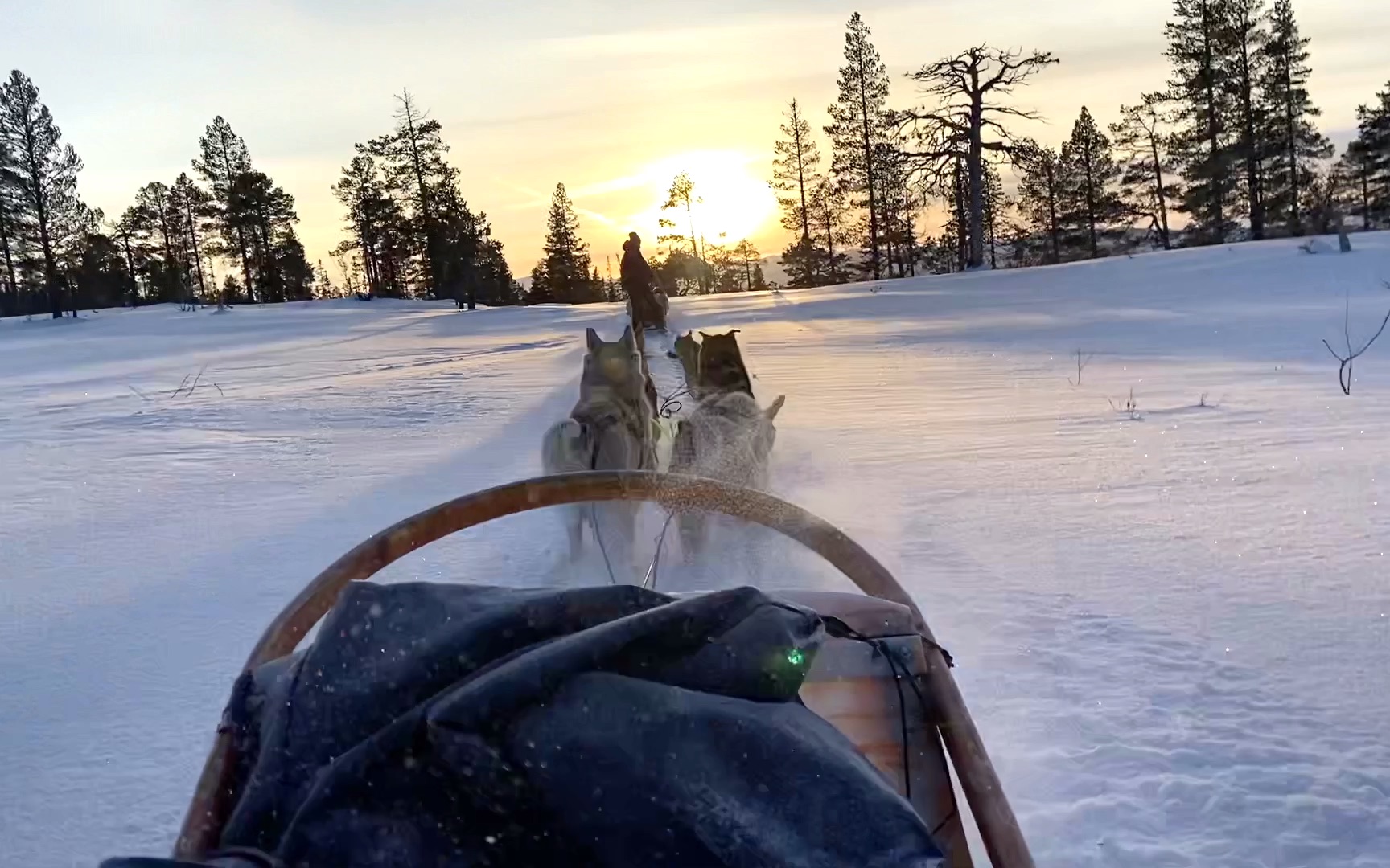 开云网页版登录入口-关于狗拉雪橇比赛，激情冬日运动体验的信息