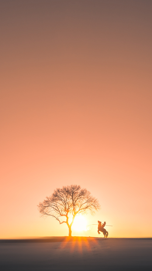 _极限跑酷城市巡演:自由之魂的狂欢_,2018跑酷与自由飞跃