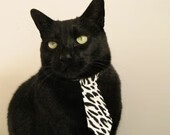 _魔术逆势反弹,连续抢得关键胜利_,魔术讲解