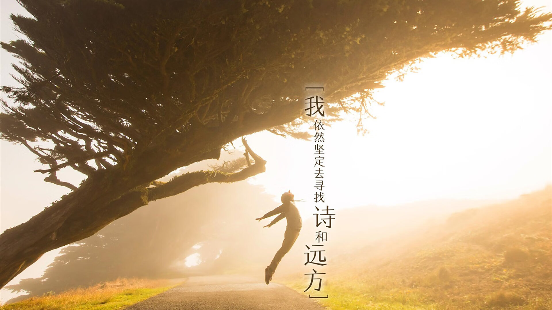 开云中国大陆-《守望先锋大赛，策略与反应的极限考验》，守望先锋大师赛