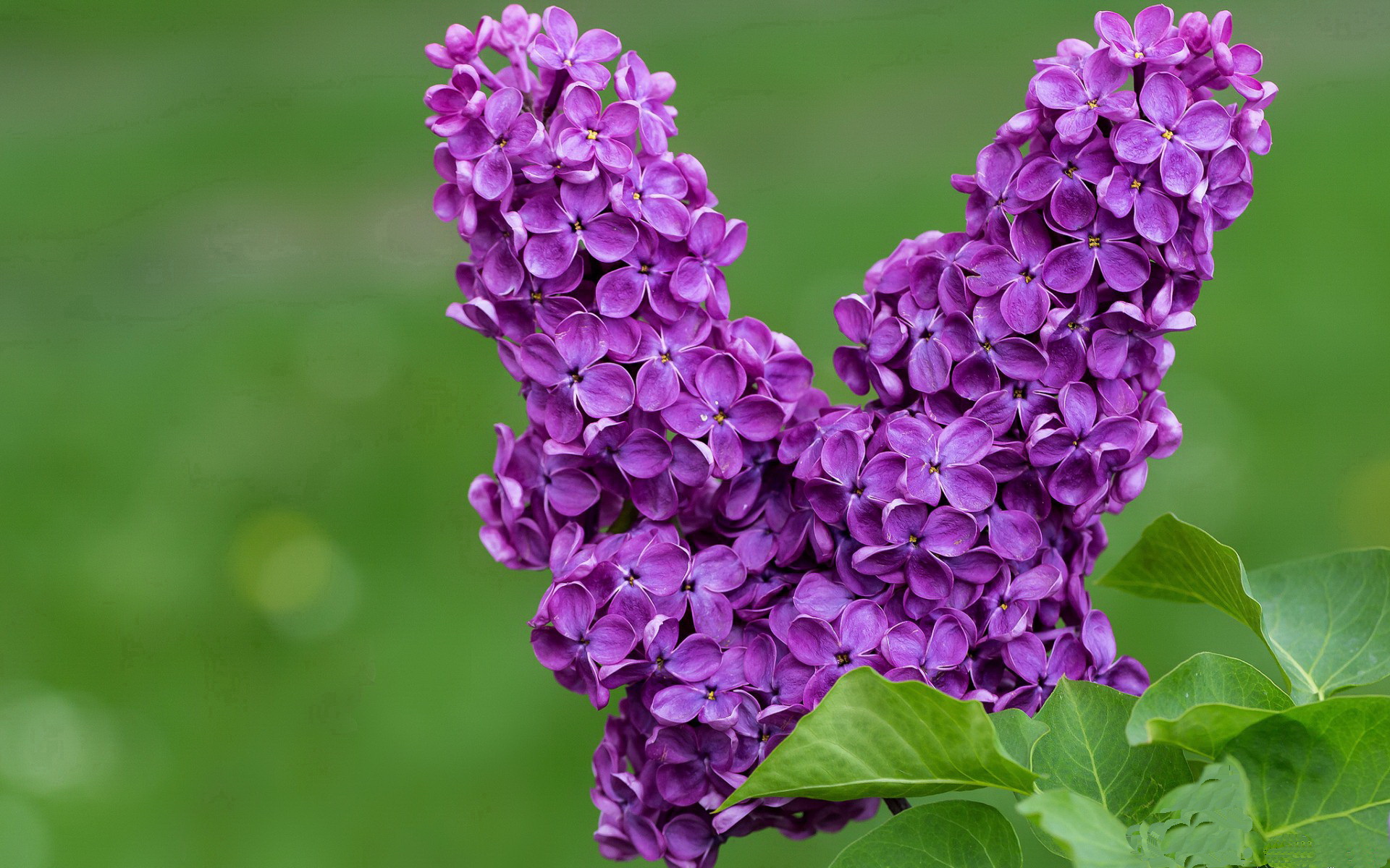 特色骑马摄影赛,运动与文化的完美结合,马术 骑马 摄影