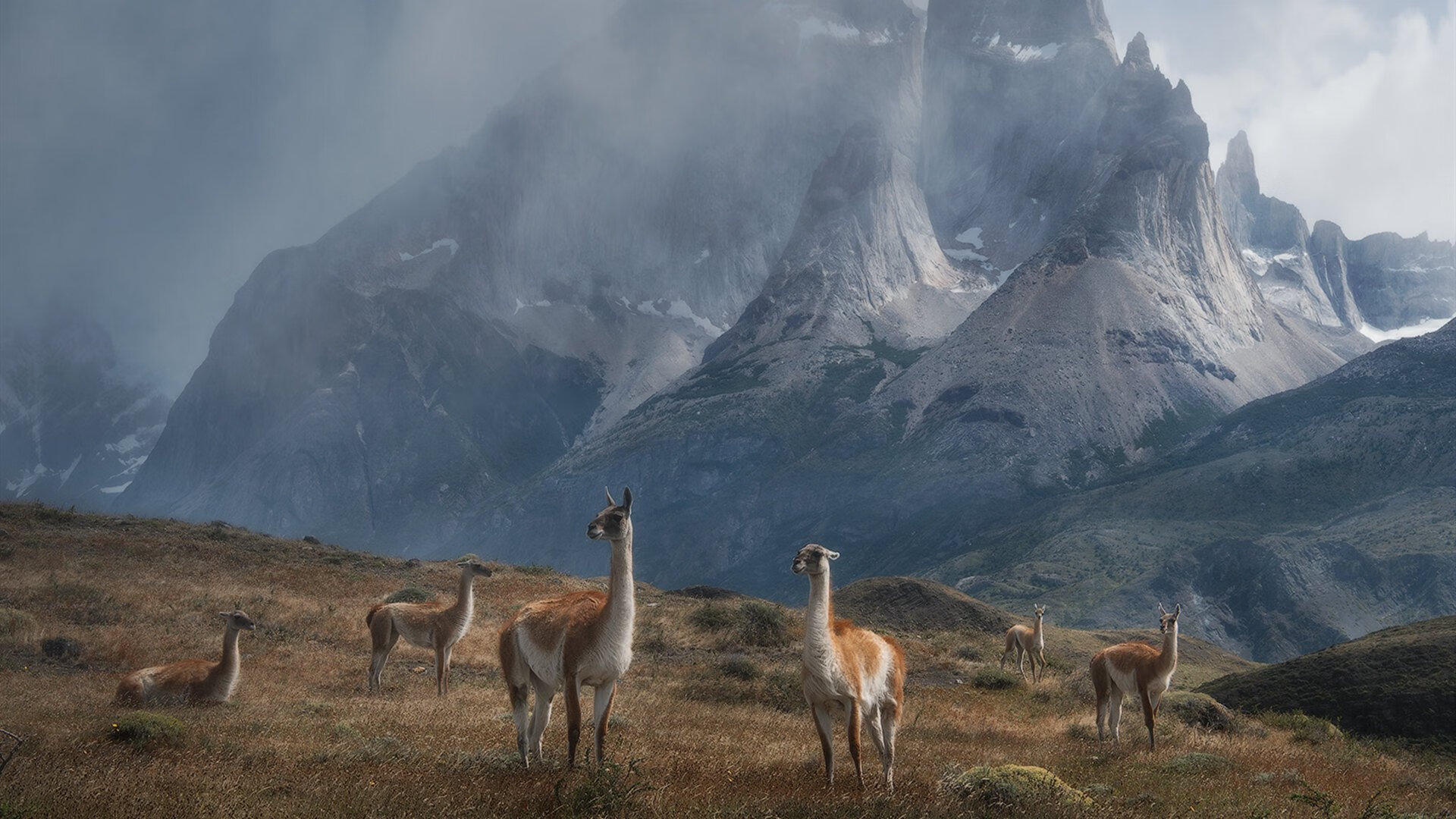 开云网页版登录入口-美国队在巴黎奥运会比赛中展现出强大的个人突破能力，美国队奥运会阵容