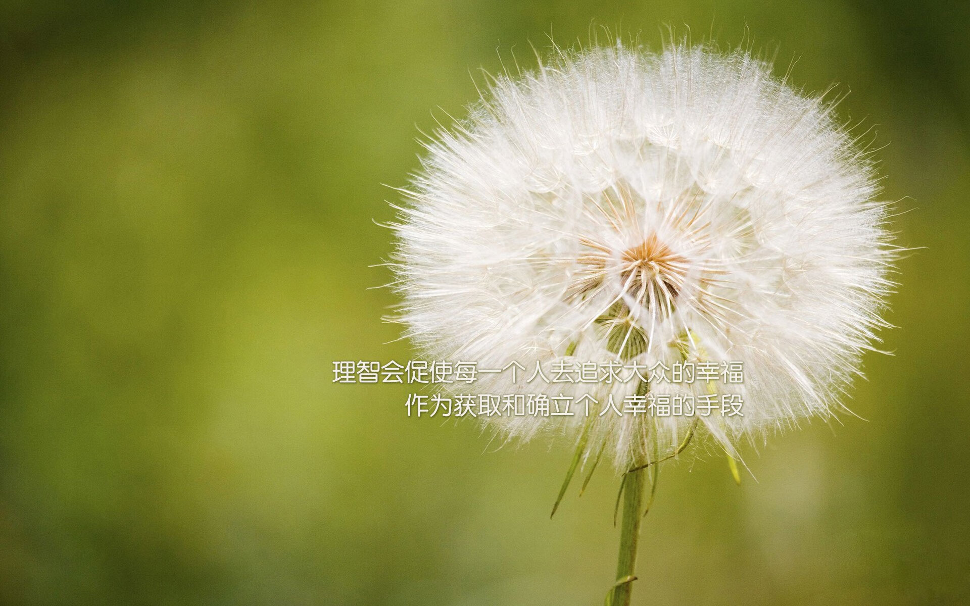 开云网页版-美国队在巴黎奥运会比赛中展现出高效的传球配合，奥运会,美国队