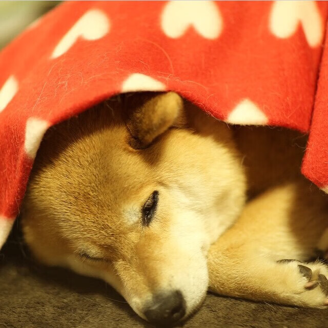 西甲豪门逆转战,比分2-1,关键数据:高效射门转化率达52%,传球成功率89%