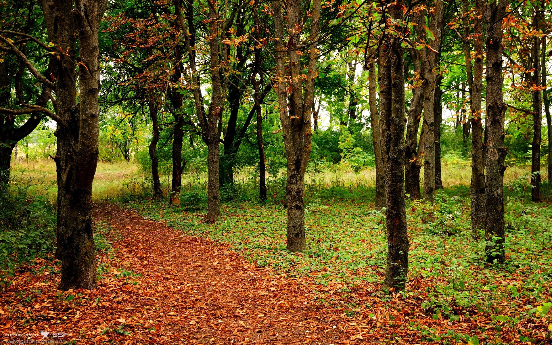 西甲赛事精彩纷呈,表现卓越的球员成为焦点,西甲的比赛