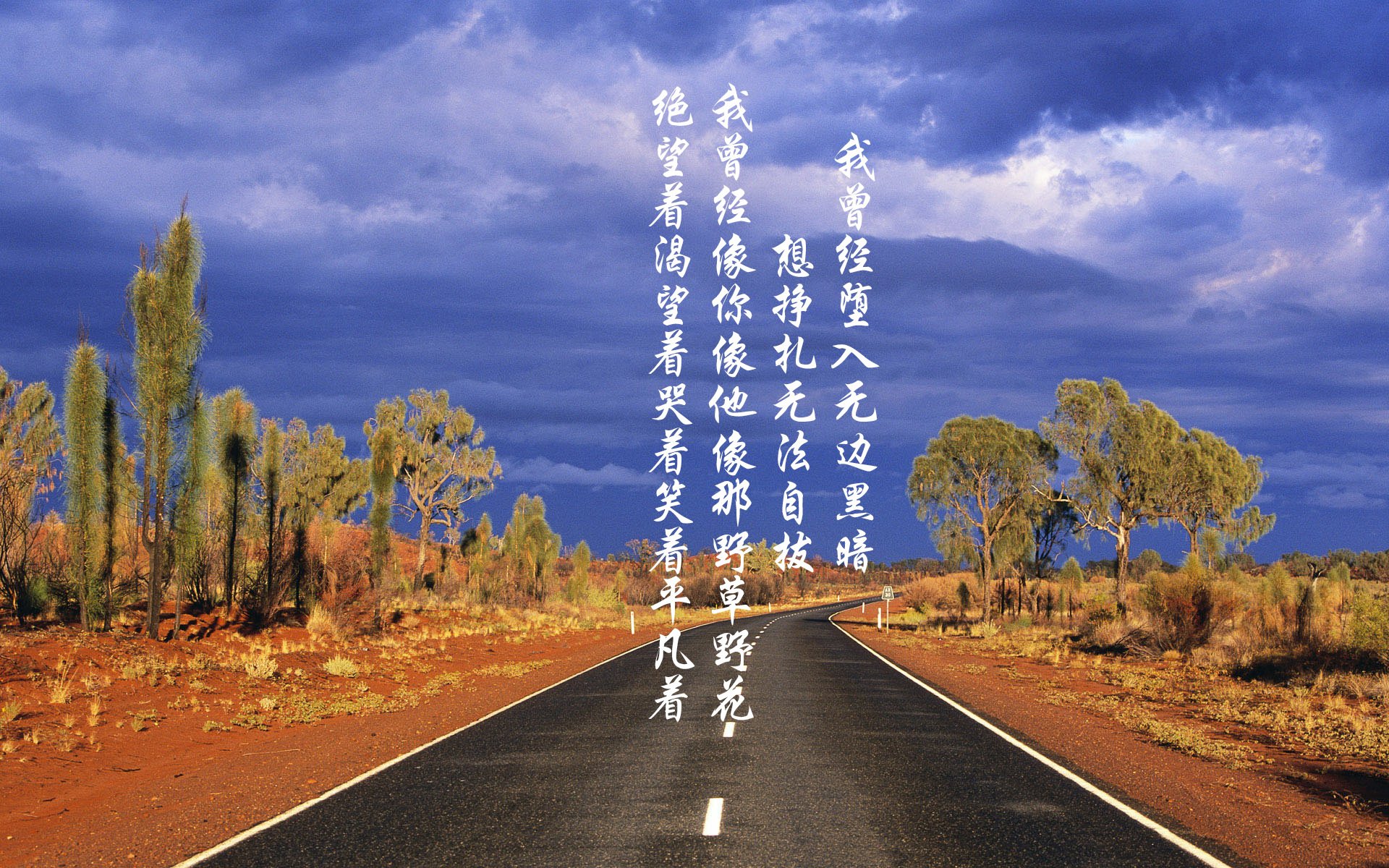 开云网站-跨国车迷聚会：不同文化的狂欢盛典，中国跨国汽车公司