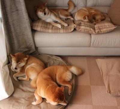 跨境战队联手训练营：推动国际电竞文化交流深度融合，跨境赛道