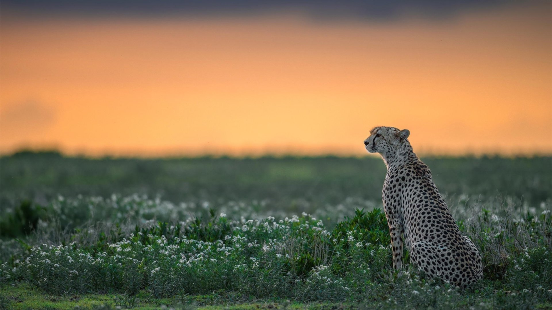 开云体育中国官网-青少年“篮球+舞蹈”跨界演出在广州引起广泛反响，展现青春多元魅力