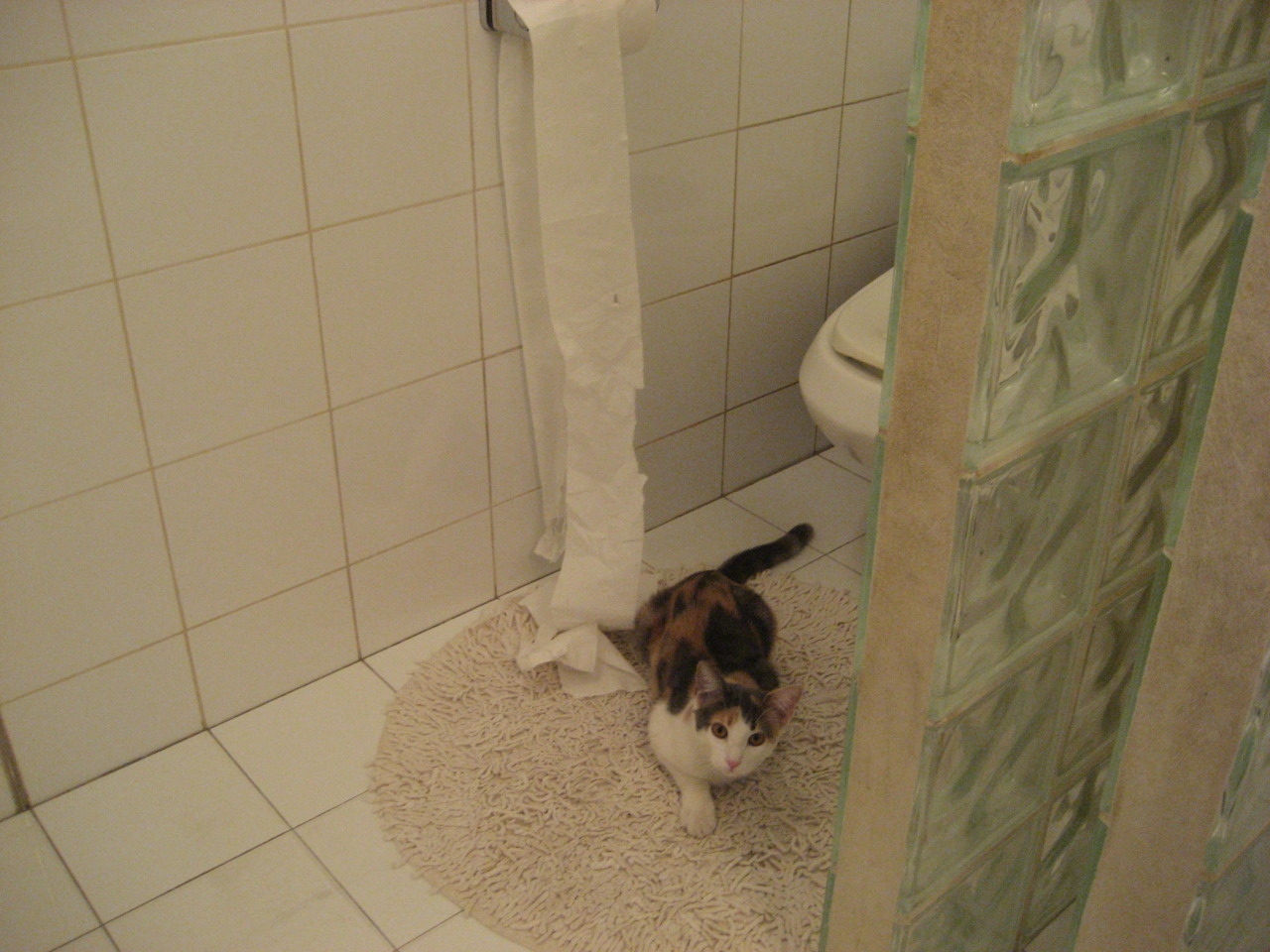 Gen.G战队训练营强化备战,gen.g战队队员