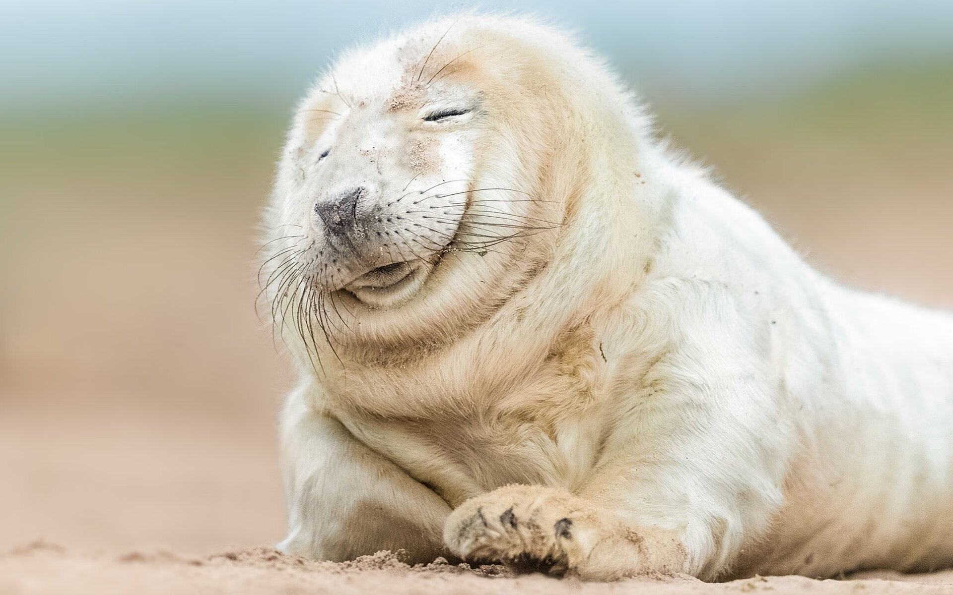 关键高尔夫果岭战术布置揭秘,高尔夫果岭规则有哪些