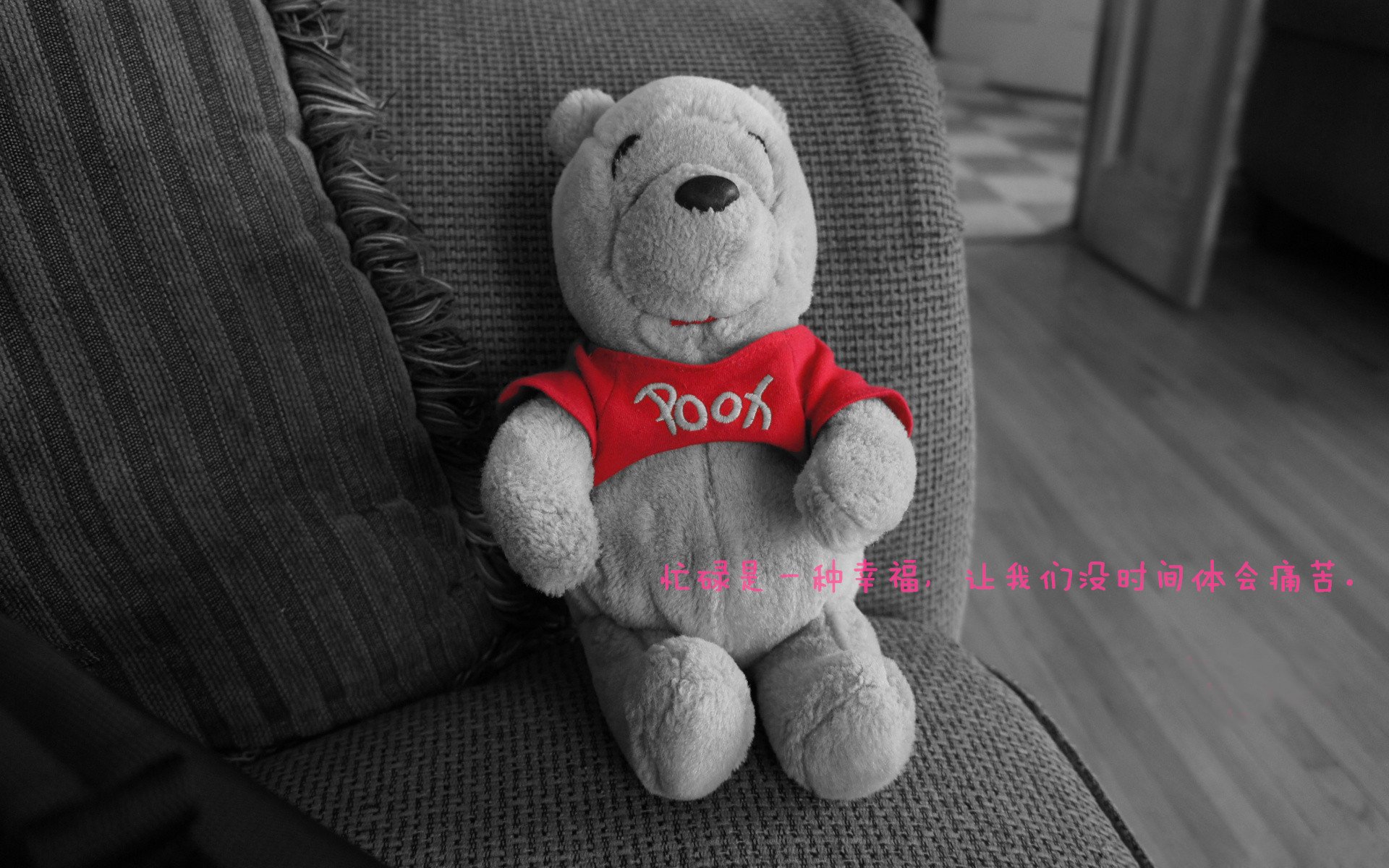 北京国安新援首秀破门，助球队取胜，北京国安引进的新外援的最新消息