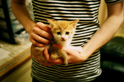 广州龙狮球队整体实力稳步上升,广州龙狮球队整体实力稳步上升