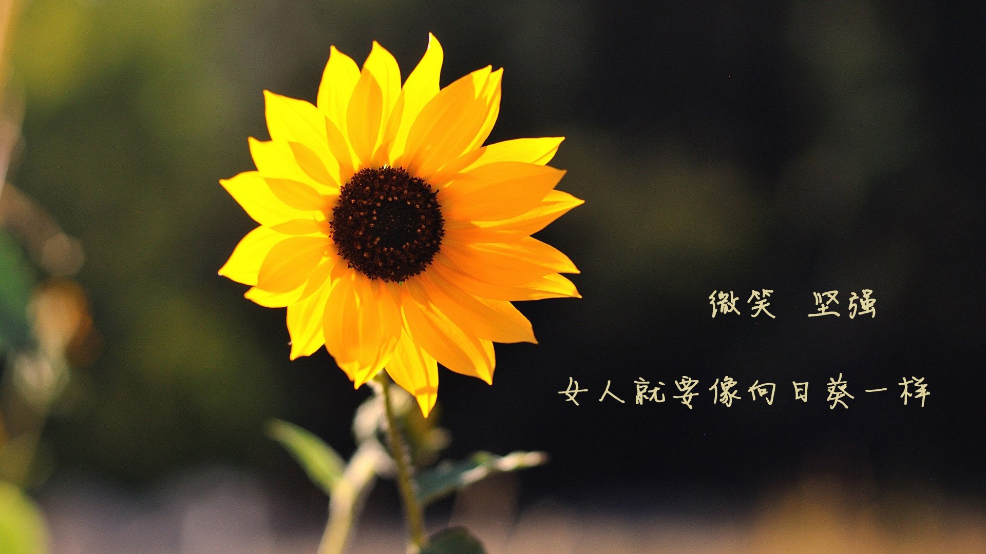 KAIYUN 中国大陆-昂热防线表现出色，客场零封对手，昂热是好人吗