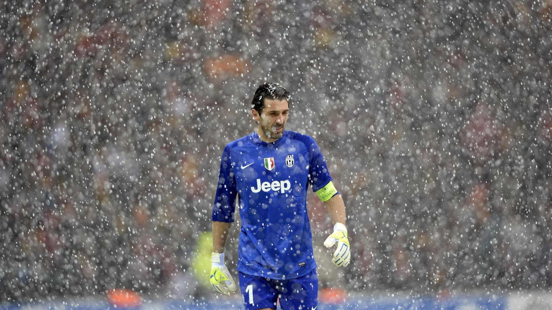 昆士公园巡游者小将崛起,助球队换道而驰,昆士兰主题公园