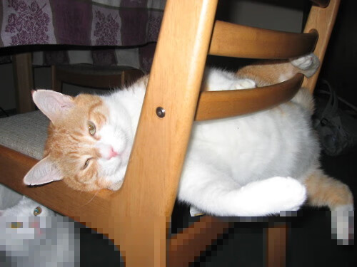 kaiyun官方入口登录-法国足球职业联赛强队呈现实力，争霸正酣，法国足球队强吗