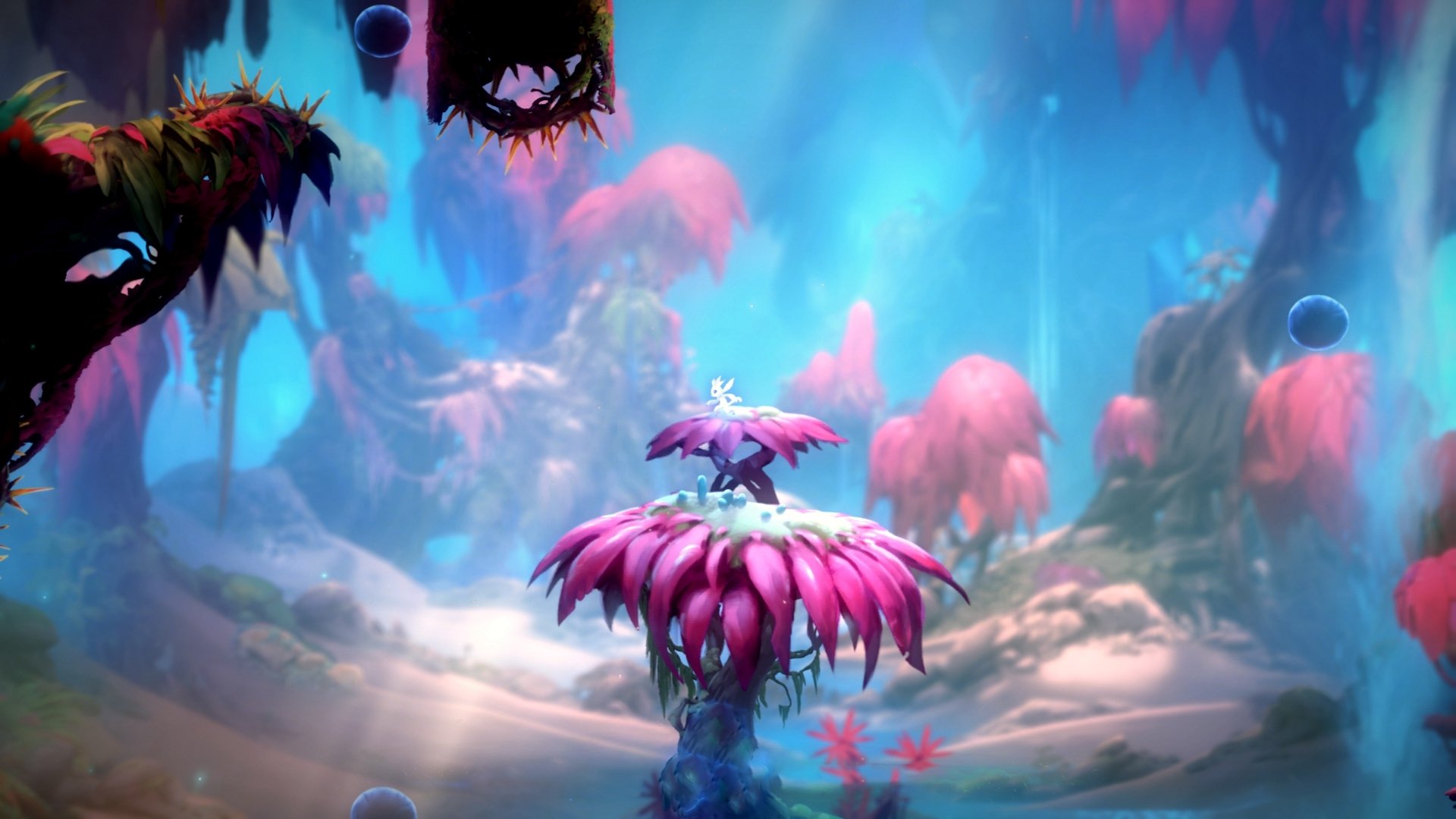 瓜达拉哈拉与阿尔阿赫利体育俱乐部达成合作协议,瓜达拉哈拉vs克雷塔罗直播