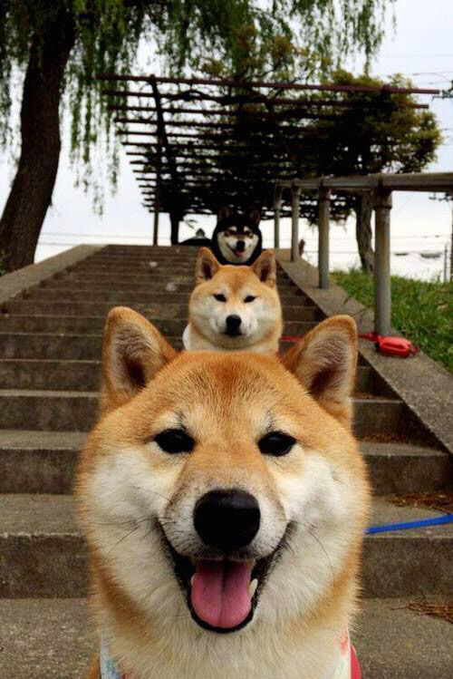 老将是否应转型为场上导师角色，老将是否应转型为场上导师角色