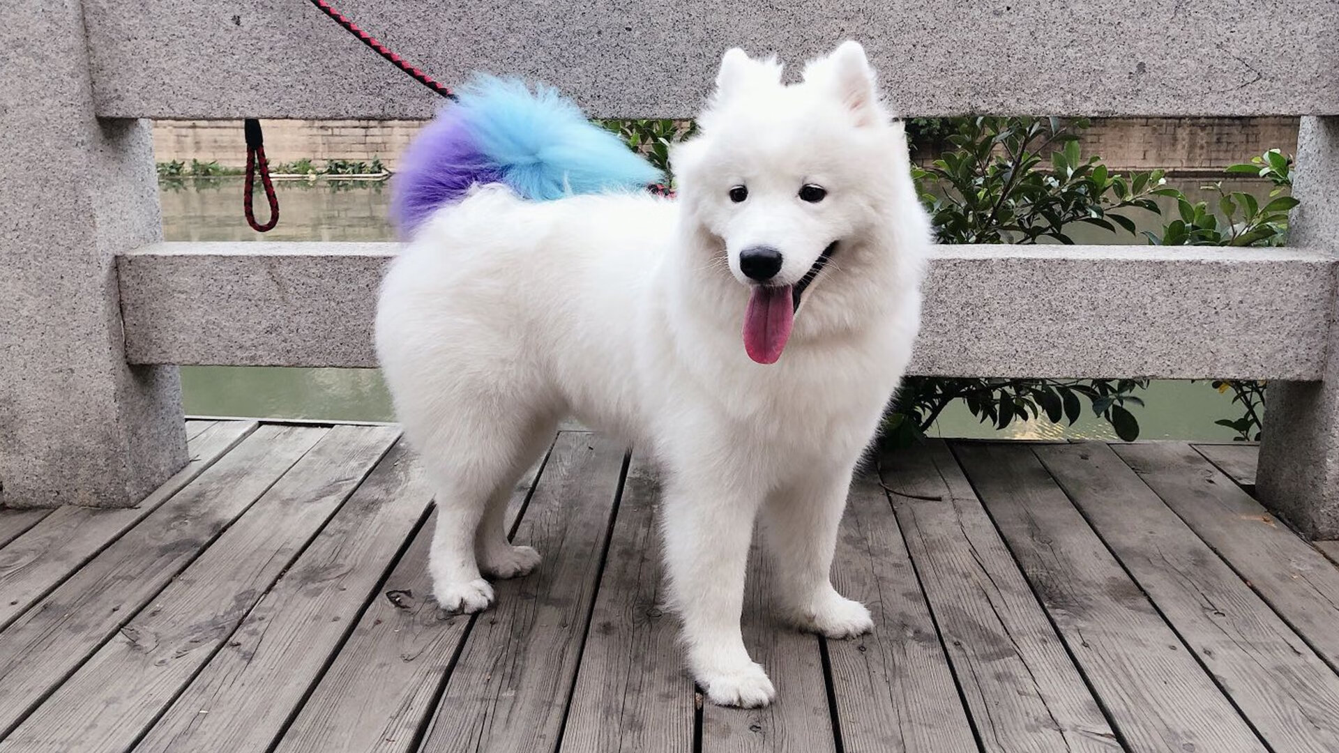 国足攻防转换速度可视化模型,足球转移进攻战术