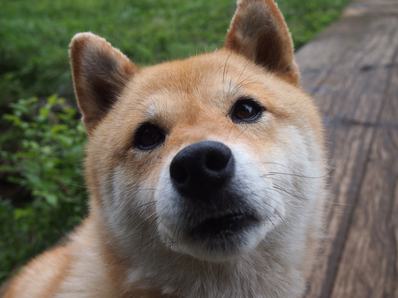 CBA联盟持续深化基层人才培养路径,cba人才输送体系