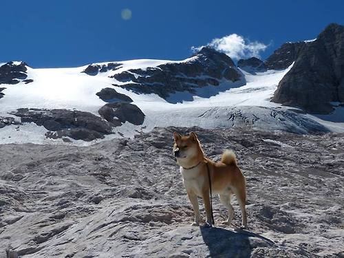 开云体育APP下载-中国女篮在整体协防中提升默契配合，中圄女篮