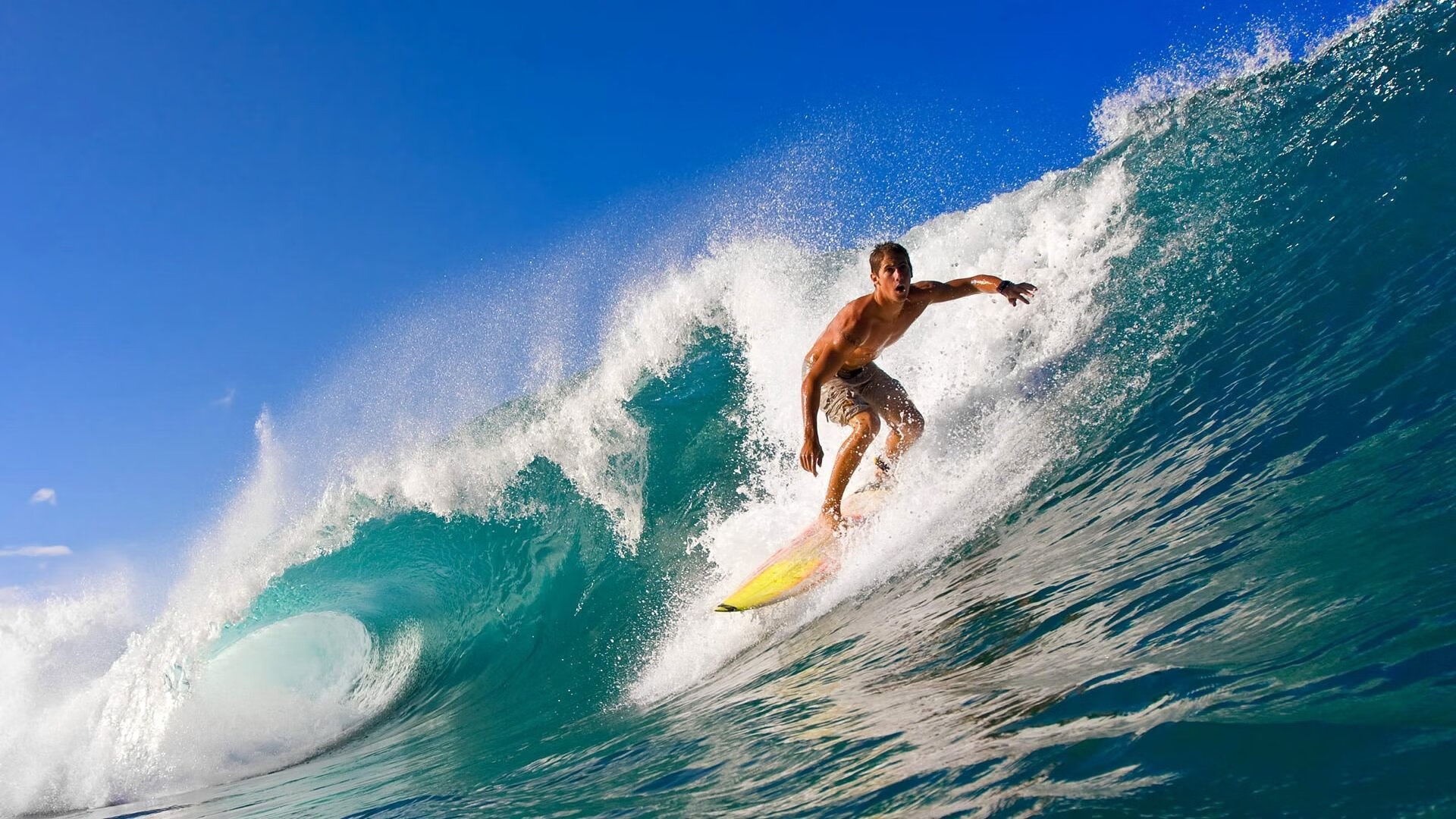 体育新闻中心主办体育新闻行业数字化转型论坛,体育产业数字化创新