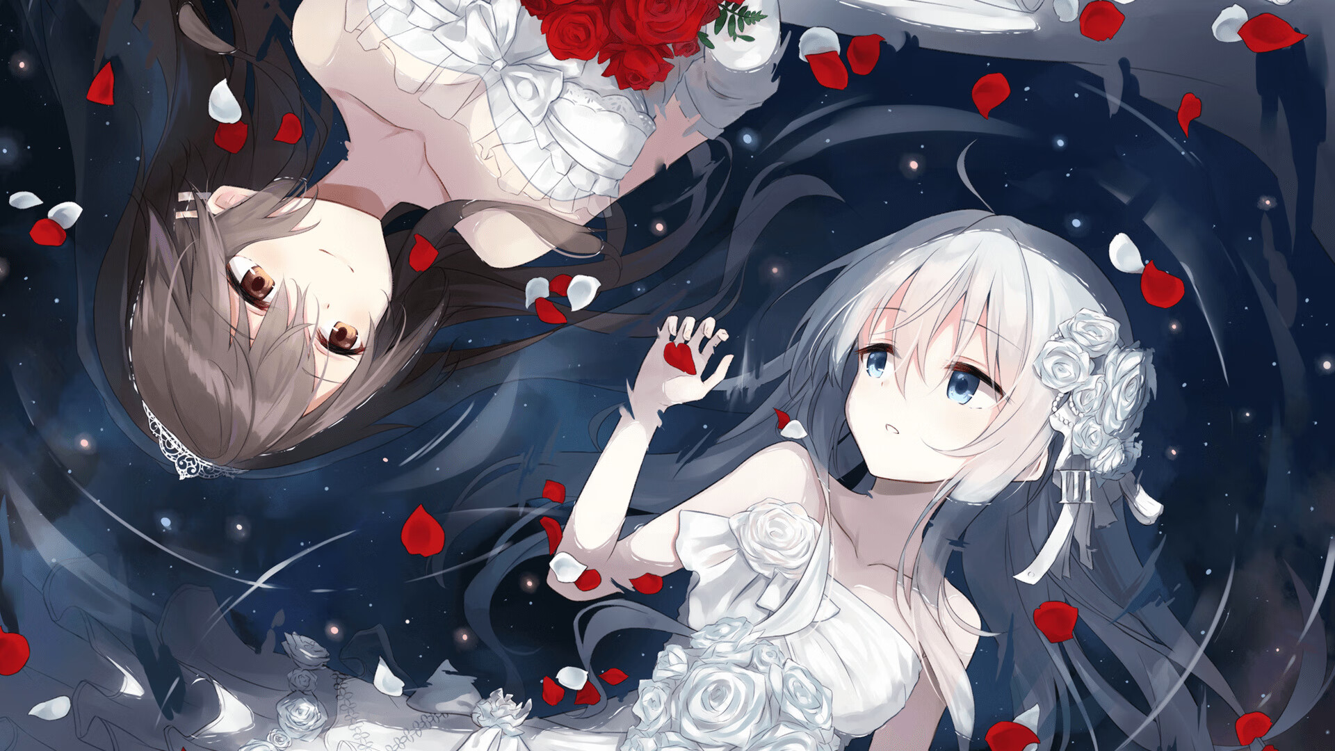 体育新闻中心深化体育短视频内容智能推荐算法,体育短视频的传播特点