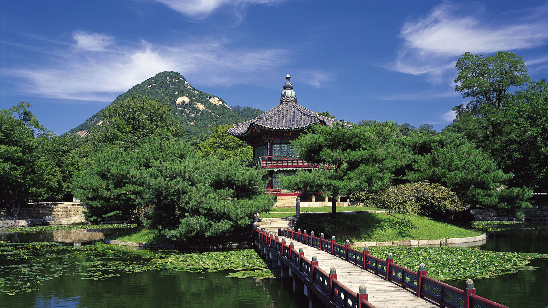 Kaiyun官方登录入口-新加坡队赛制分析：团体赛制下的战术部署与团队协作，新加坡小组赛